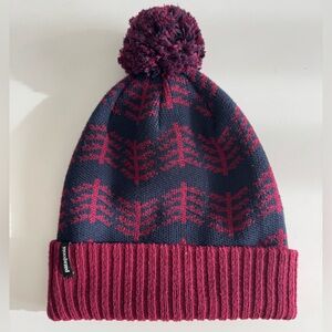 Patagonia Navy and Burgundy Knit Beanie
